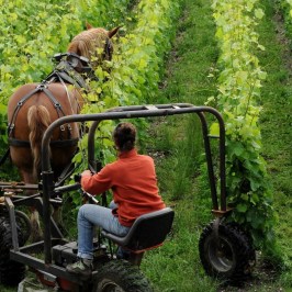 a man sitting on a bench
