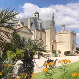 a palm tree in front of a building